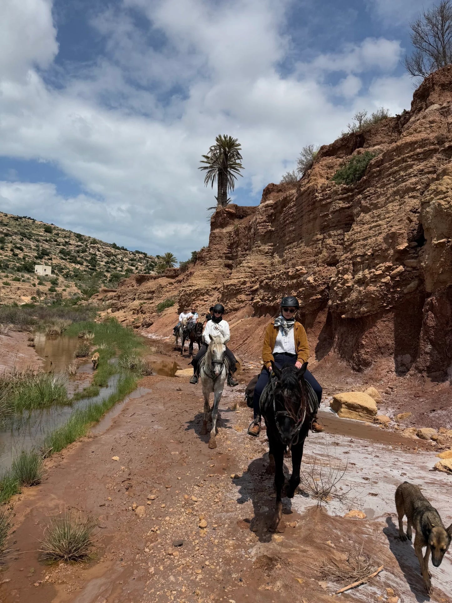 Female Horse Riding Retreat | July 18-24, 2026