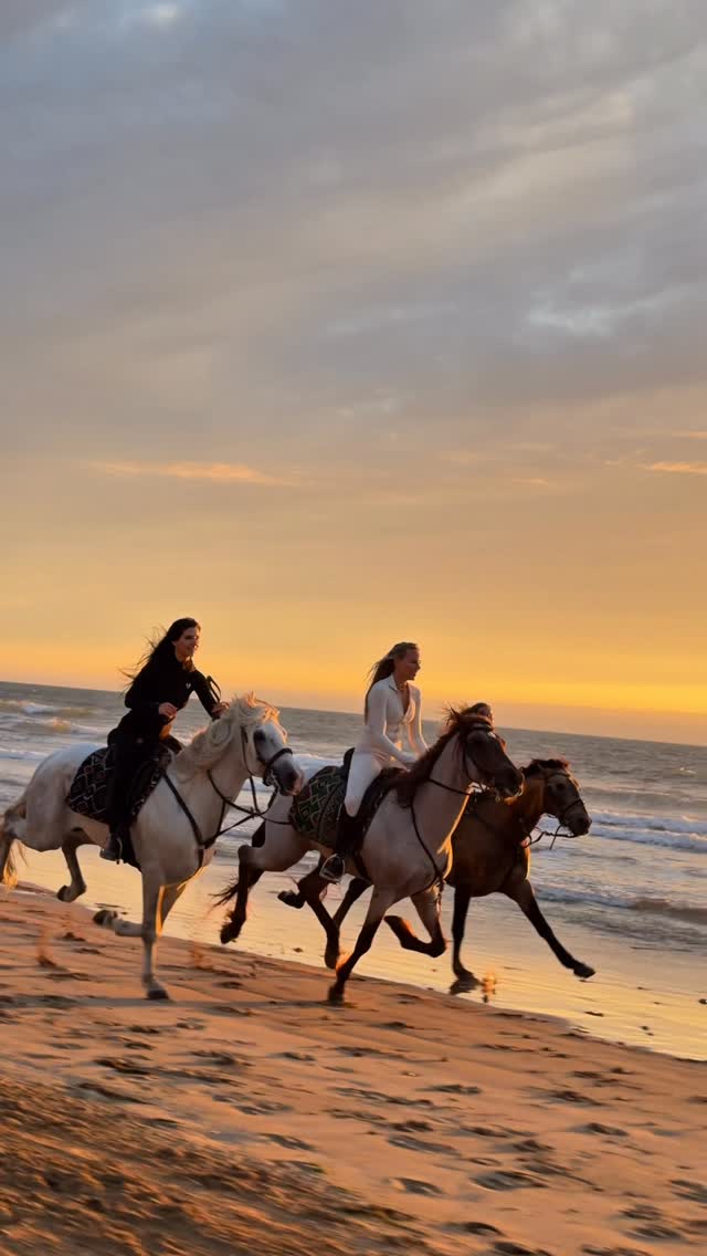 Female Horse Riding Retreat | July 18-24, 2026