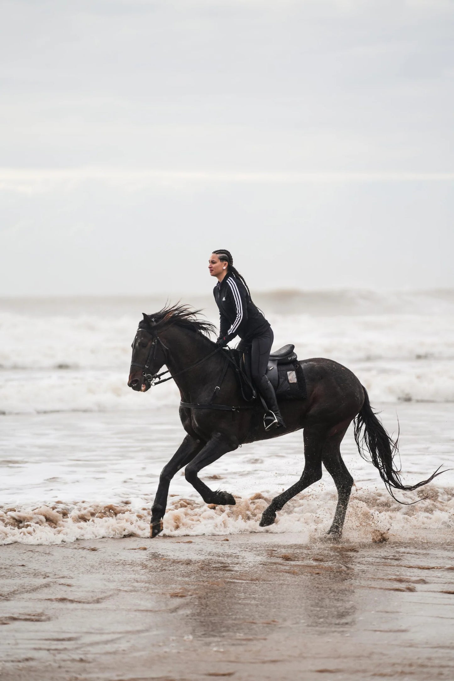 Female Horse Riding Retreat | July 18-24, 2026