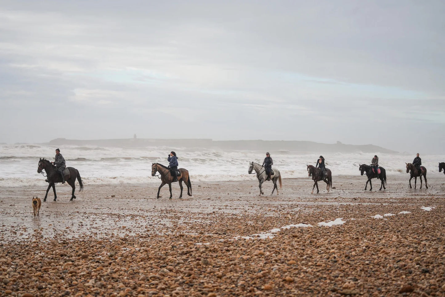 Female Horse Riding Retreat | July 18-24, 2026