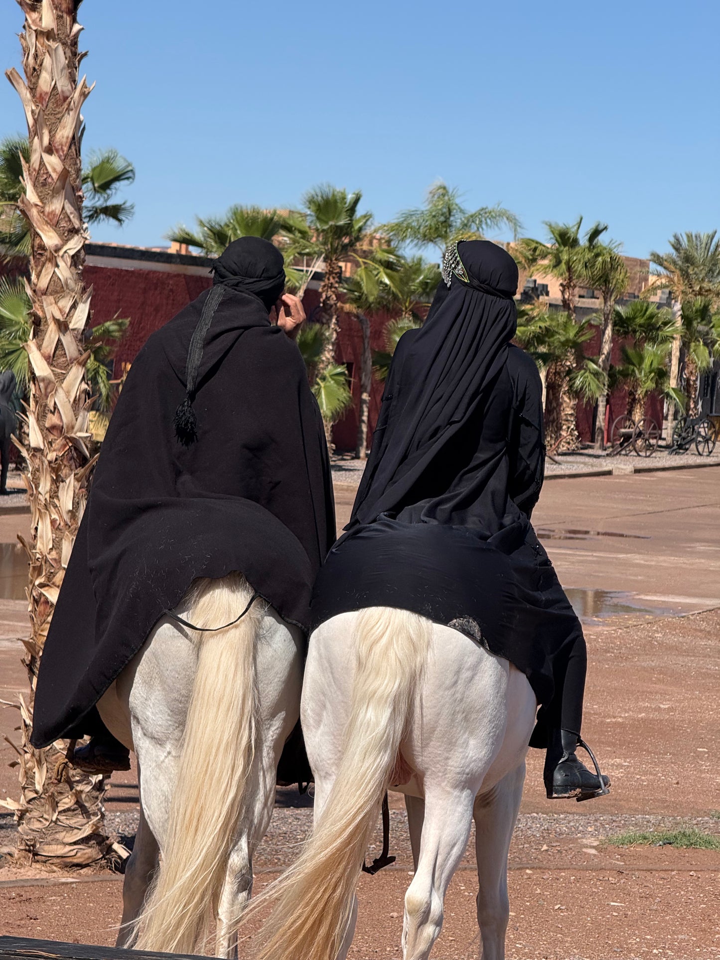 Female Horse Riding Retreat | July 18-24, 2026