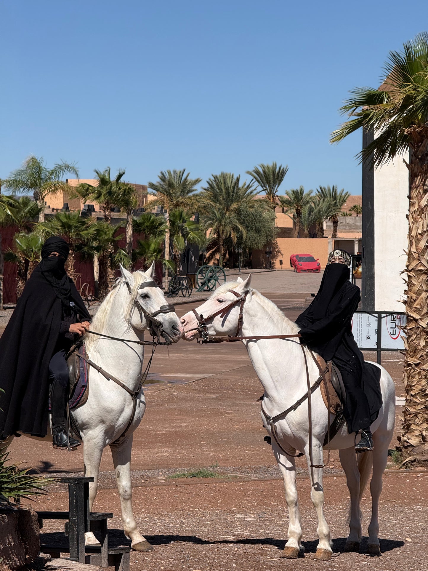 Female Horse Riding Retreat | July 18-24, 2026