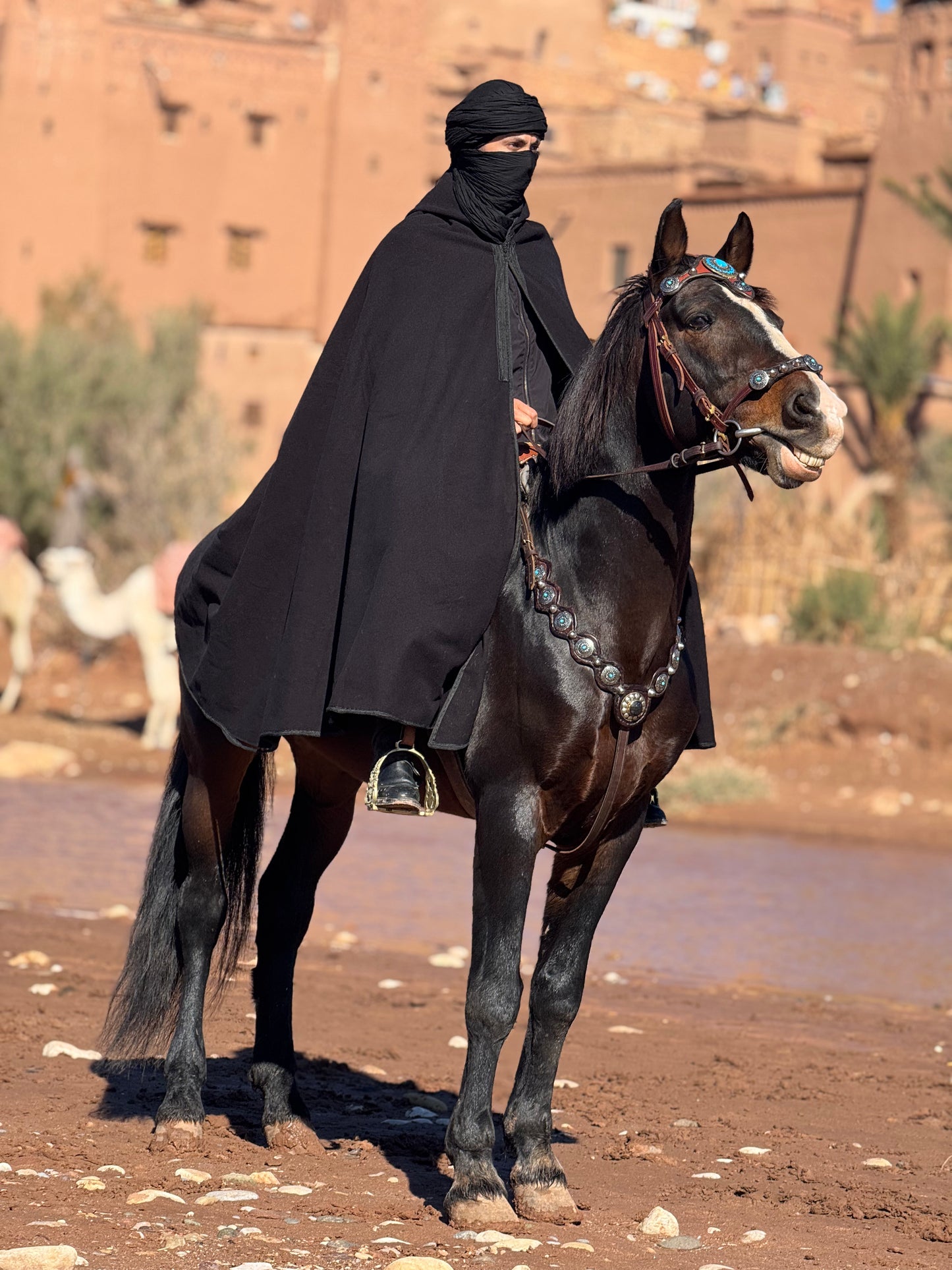 Female Horse Riding Retreat | July 18-24, 2026