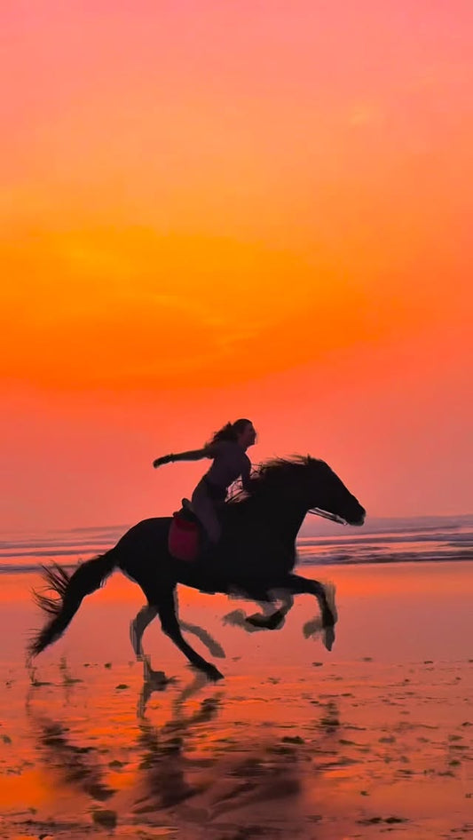 Female Horse Riding Retreat | July 18-24, 2026